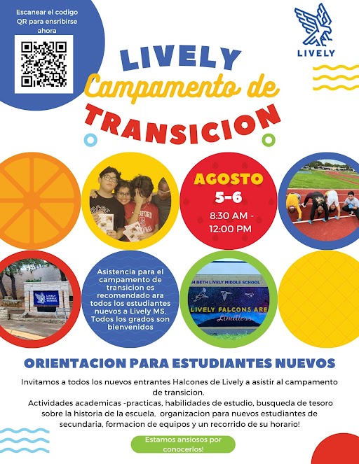 Transition Camp information 